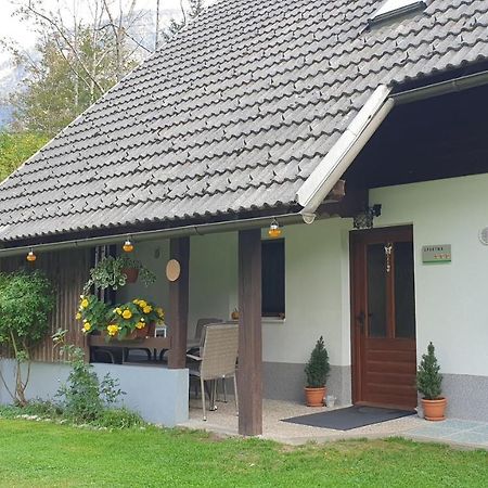 Apartment Sonce Bohinji-tó Kültér fotó