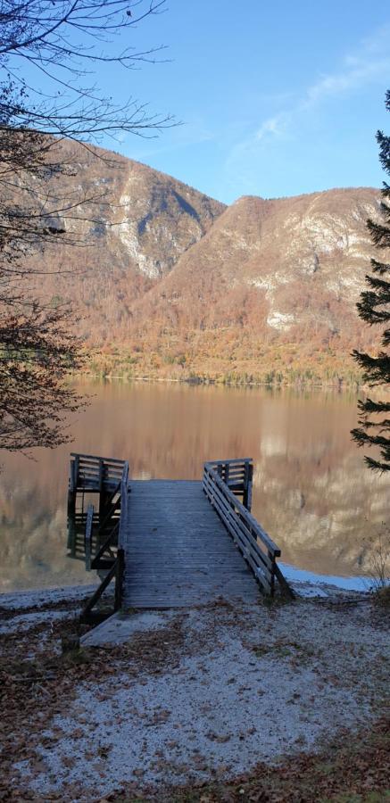 Apartment Sonce Bohinji-tó Kültér fotó