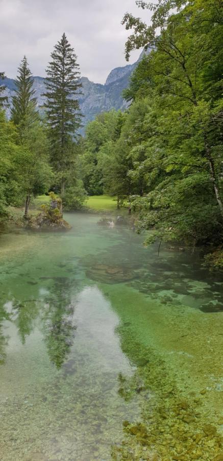 Apartment Sonce Bohinji-tó Kültér fotó