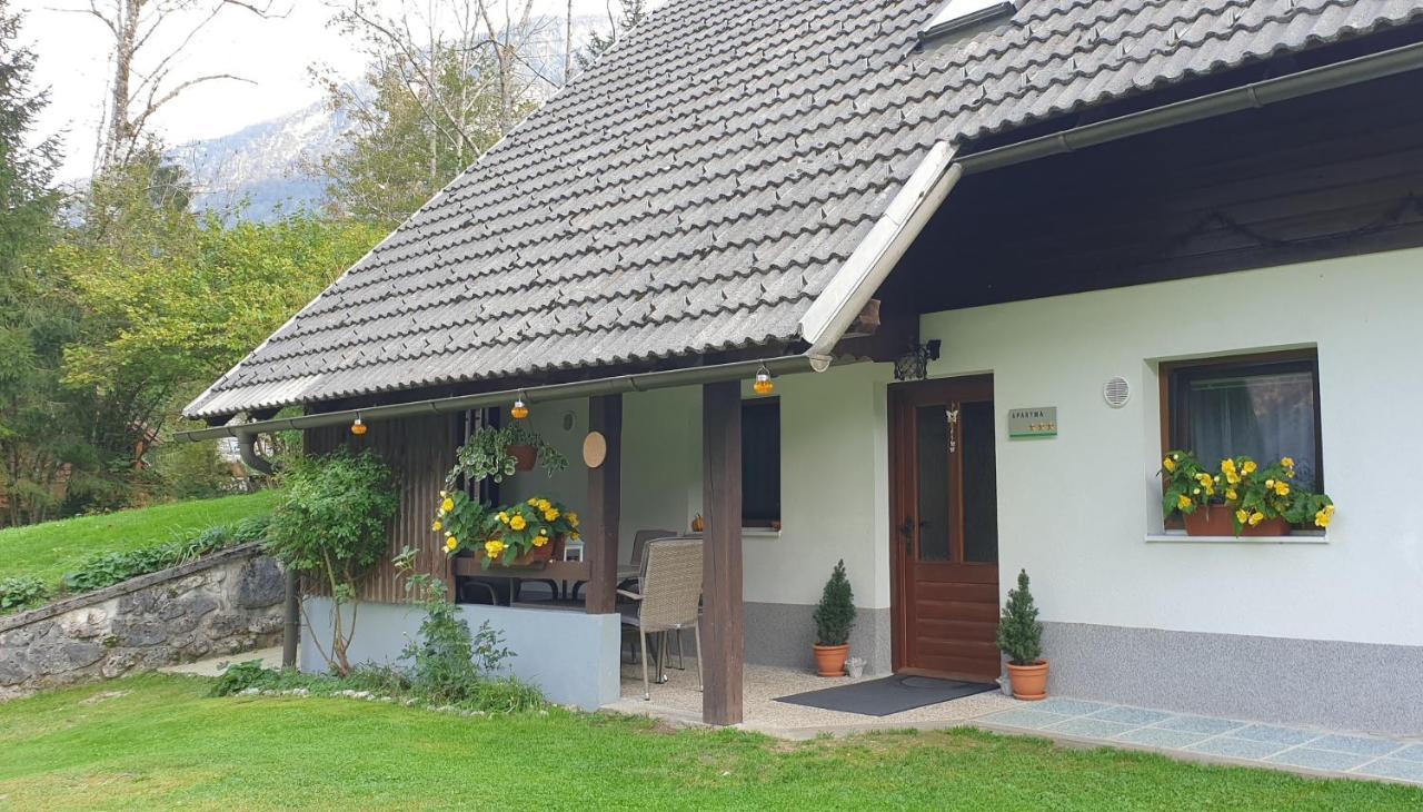 Apartment Sonce Bohinji-tó Kültér fotó
